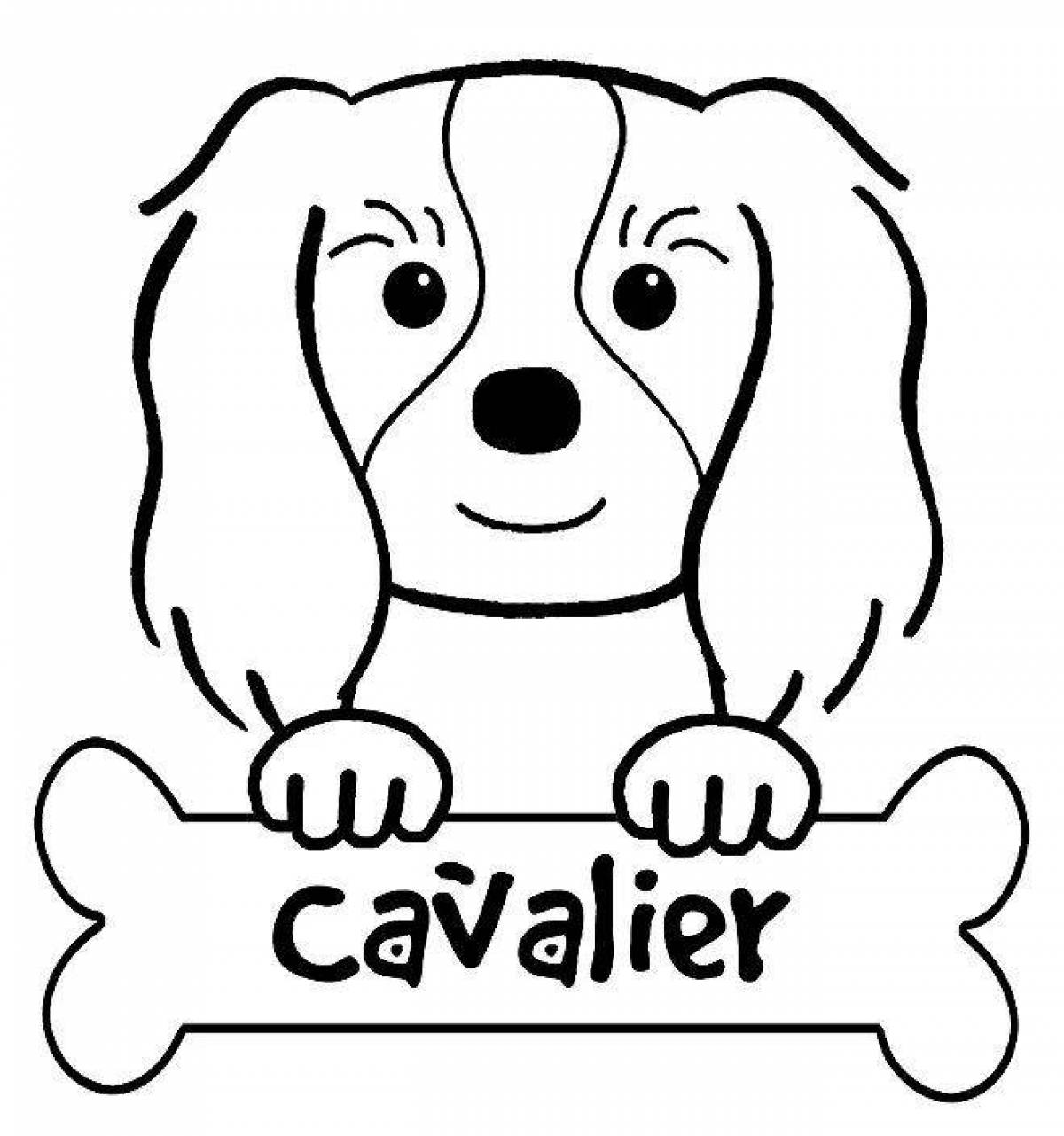 Great coloring page spaniel cavalier king charles