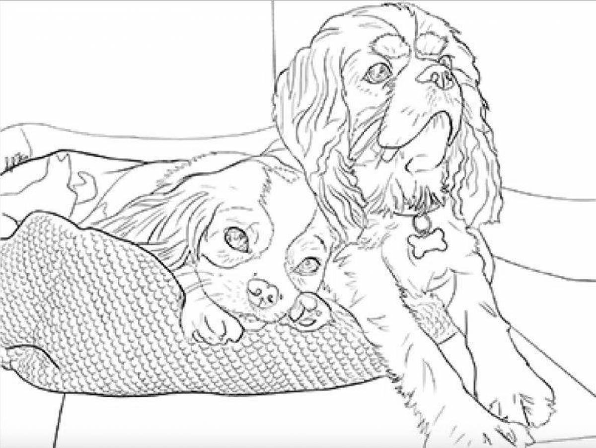 Splendid coloring page spaniel кавалер кинг чарльз