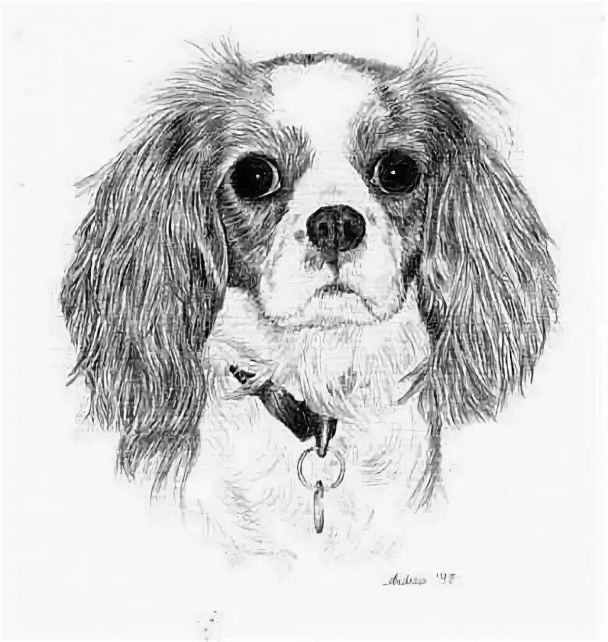 Engaging coloring page spaniel cavalier king charles
