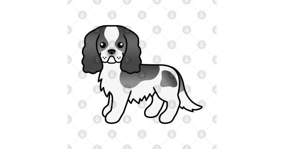 Friendly coloring page spaniel cavalier king charles