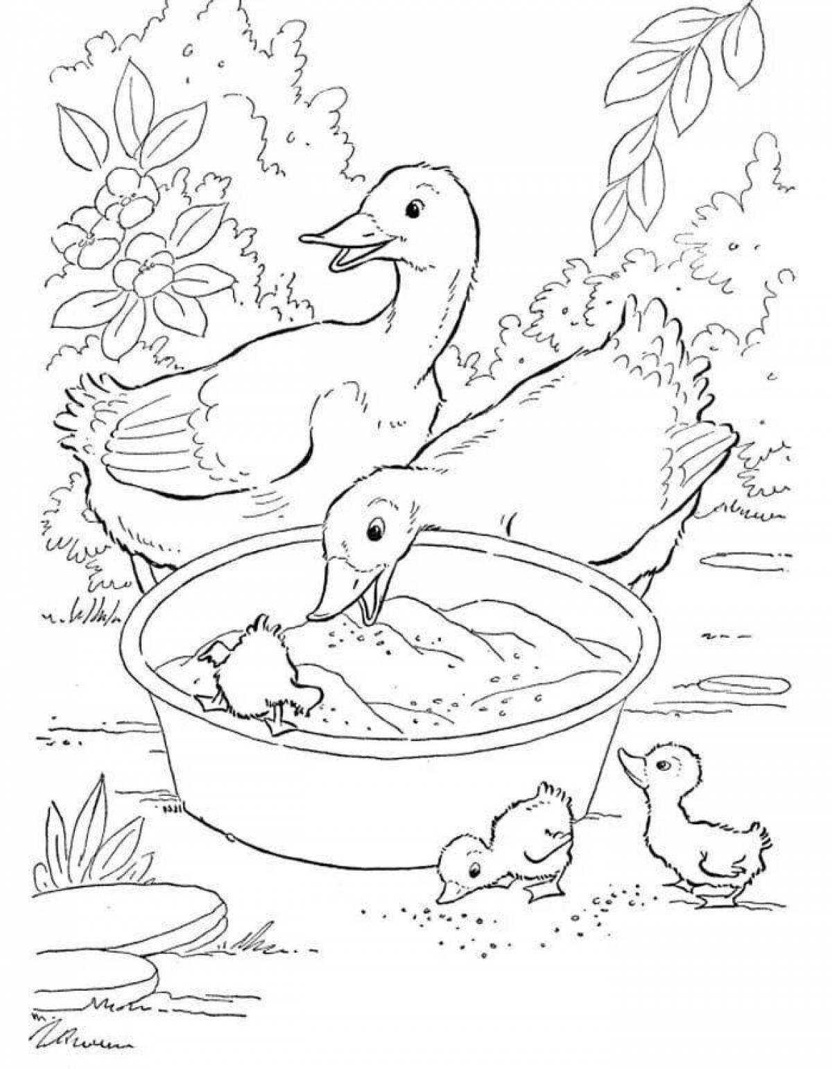 Photo Serene bird and their young