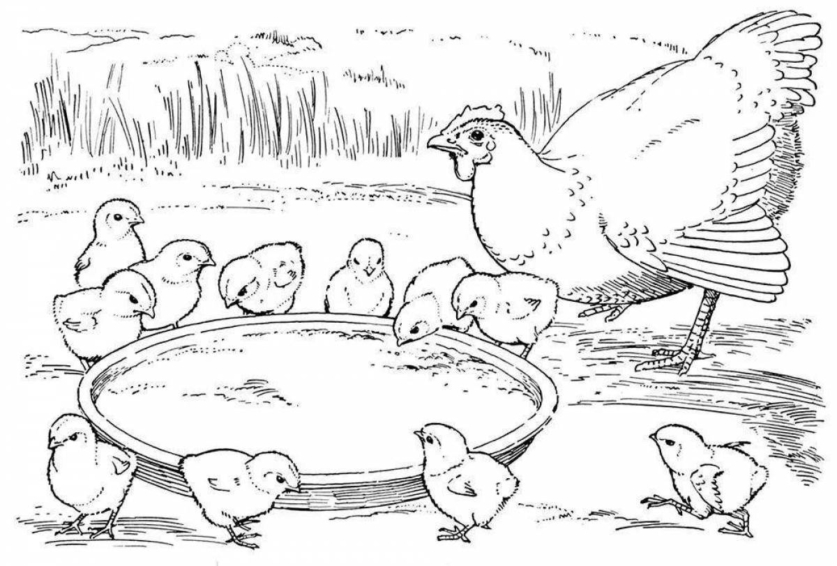 Photo Colourful birds and their young