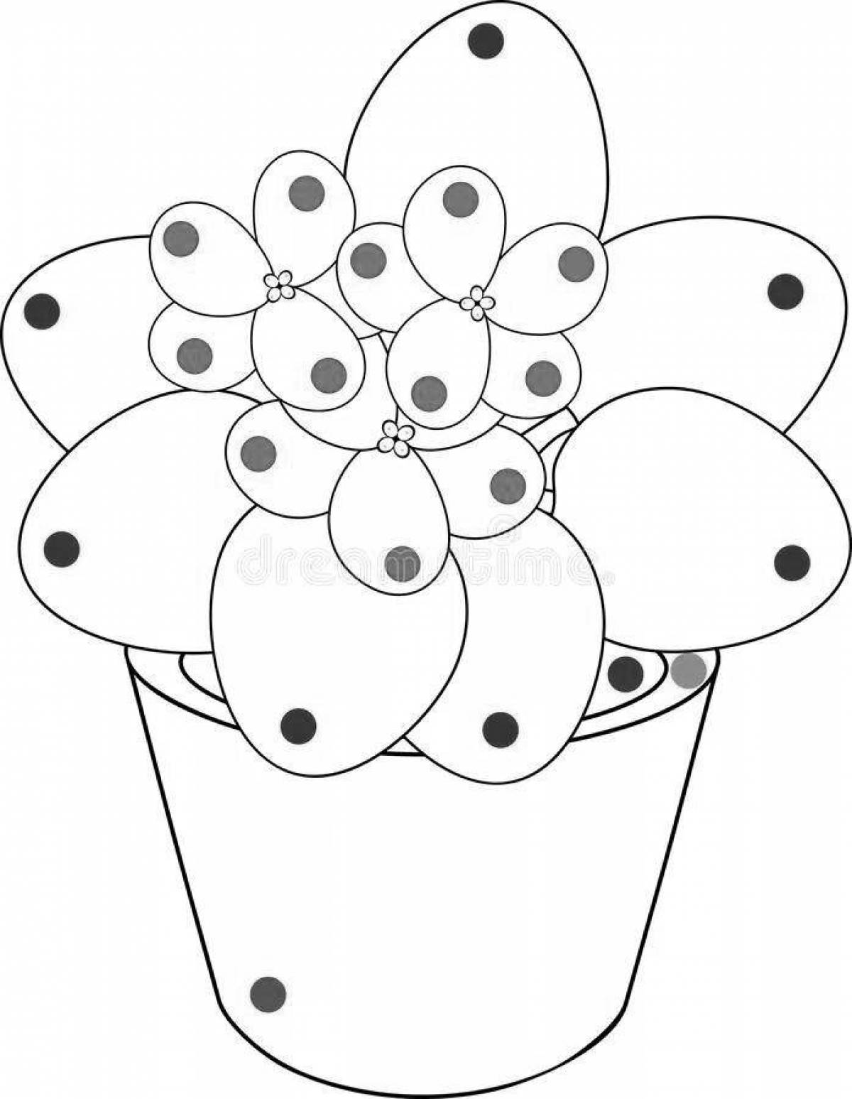 Violent violet in a pot