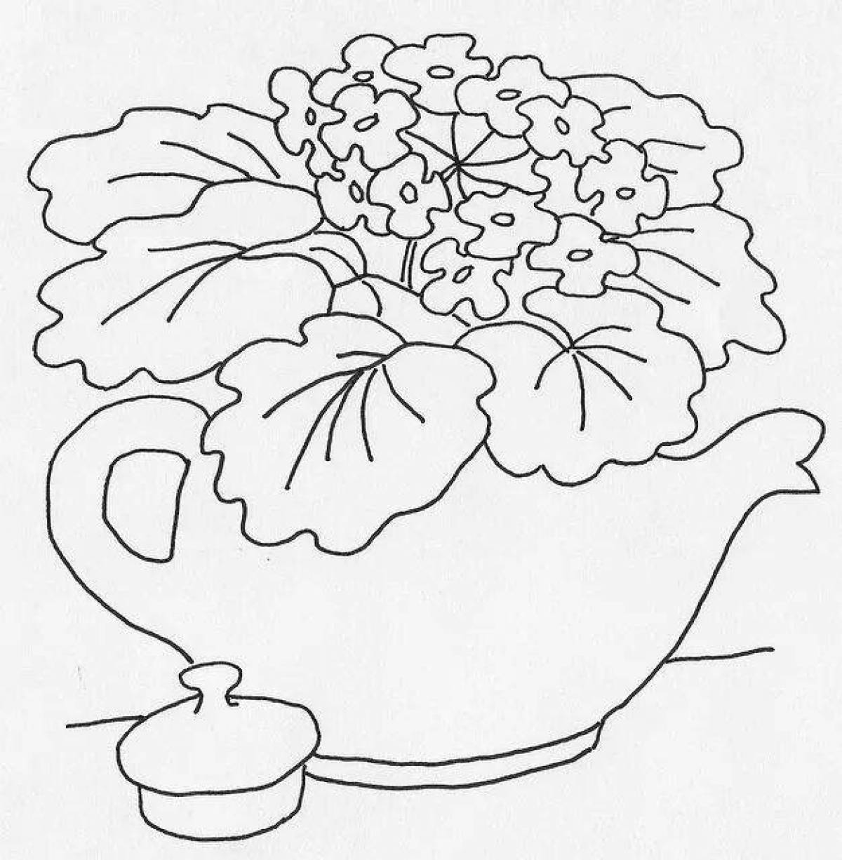 Dazzling violet in a pot