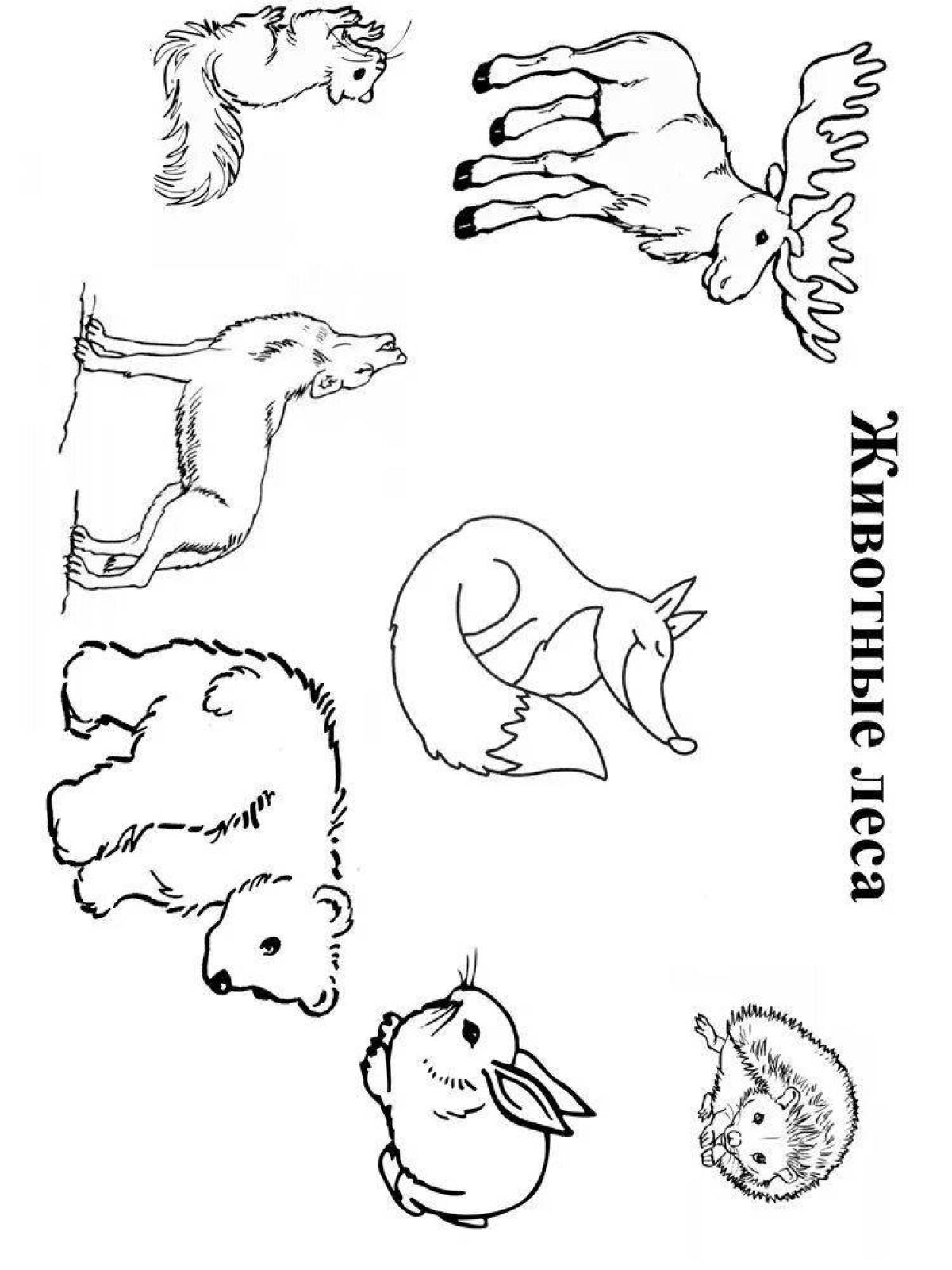 Great coloring book for kids wild animals 2 3 years old