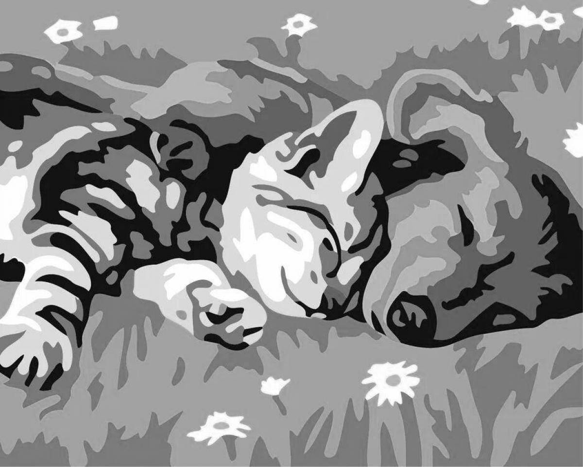 Анимированная картина толстого кота по номерам на холсте