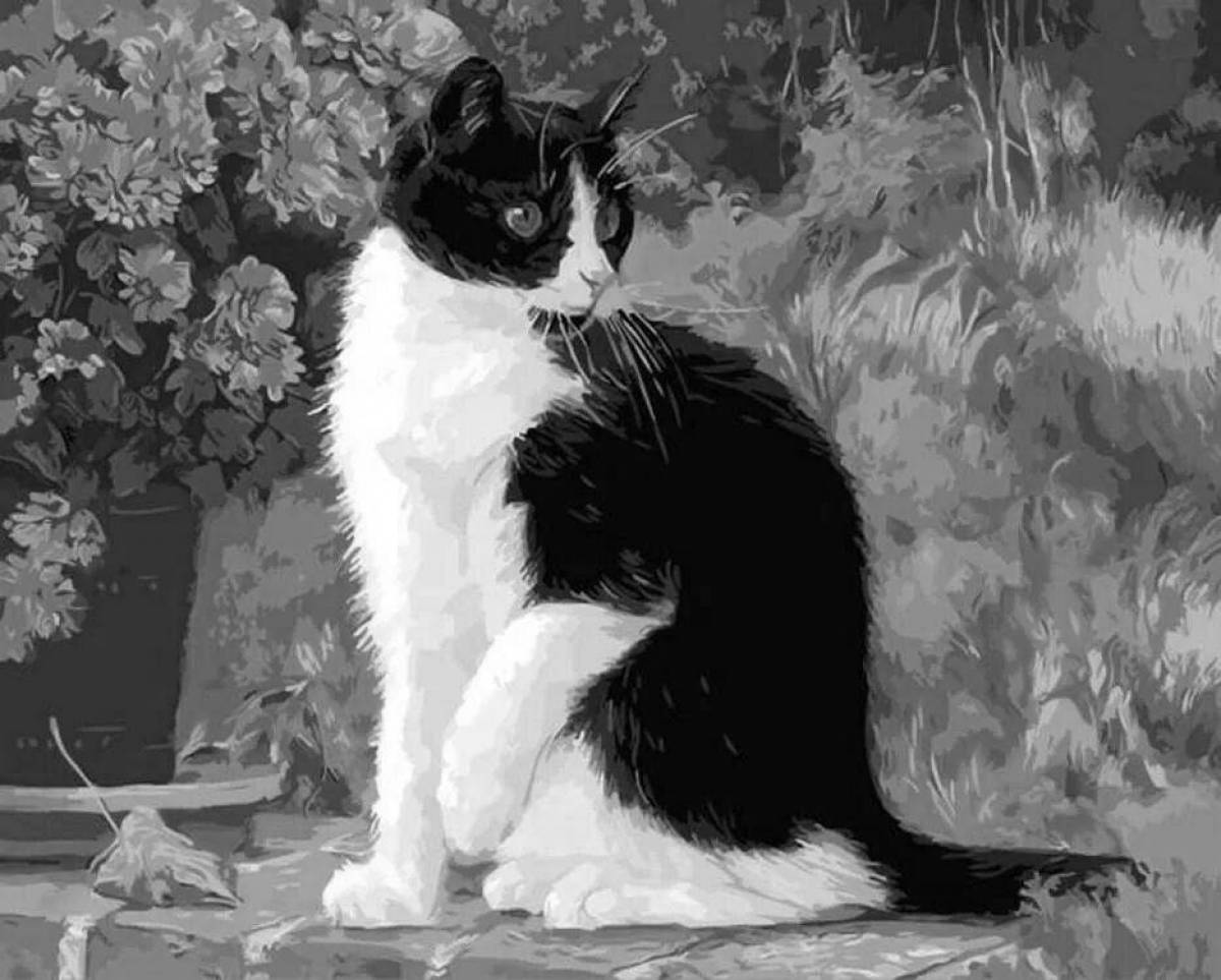 Интригующая картина толстого кота по номерам на холсте