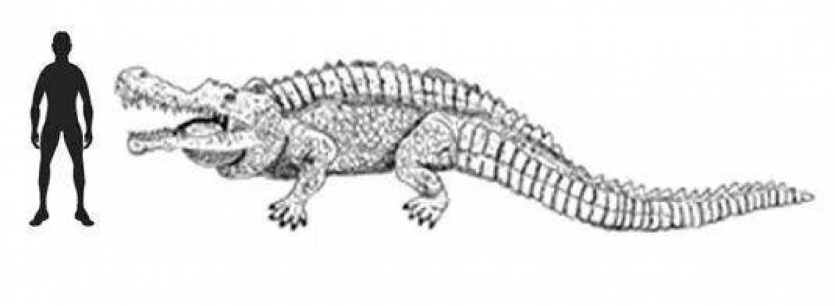 Coloring majestic sarcosuchus