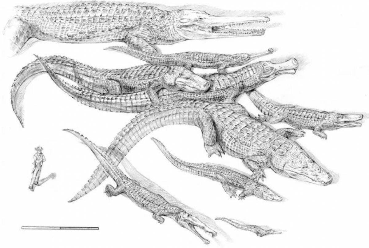 Coloring page charming sarcosuchus