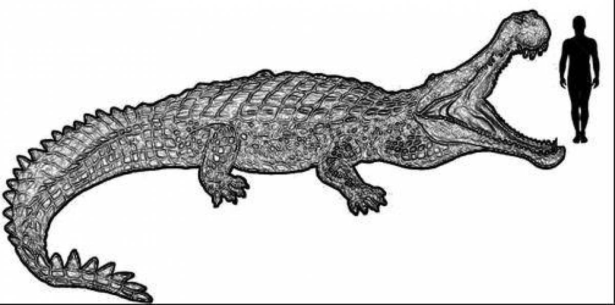 Flawless Sarcosuchus coloring page