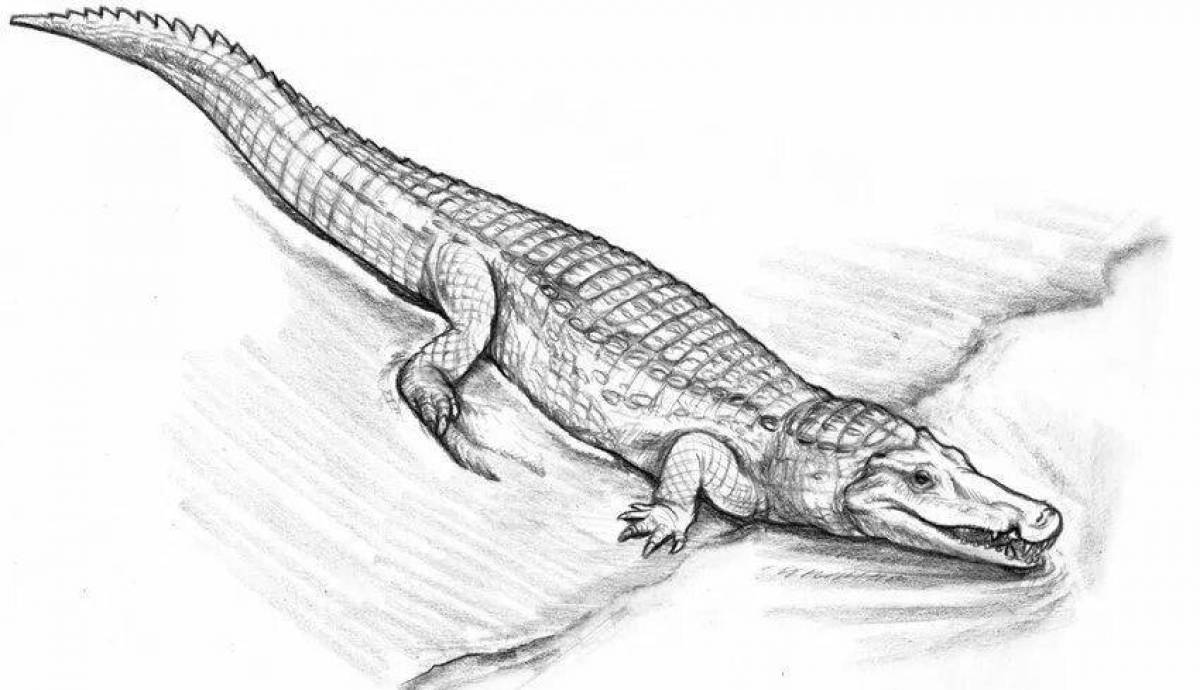 Intriguing coloring of sarcosuchus