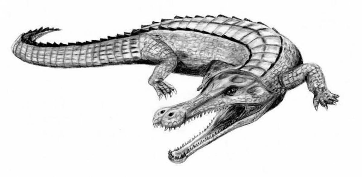 Coloring page rare sarcosuchus