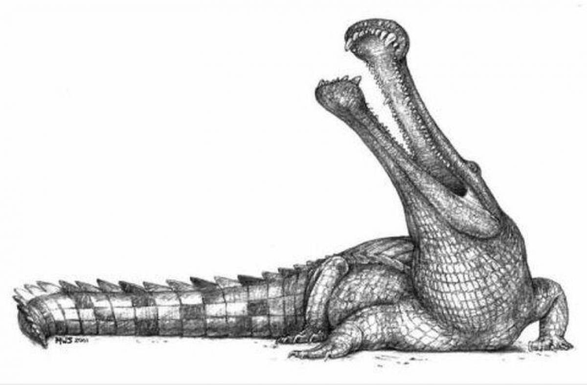 Coloring page extraordinary sarcosuchus
