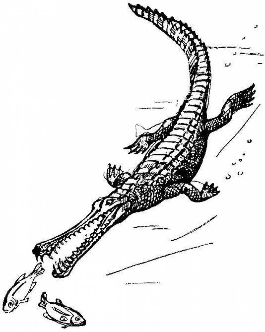 Крокодил контурный рисунок