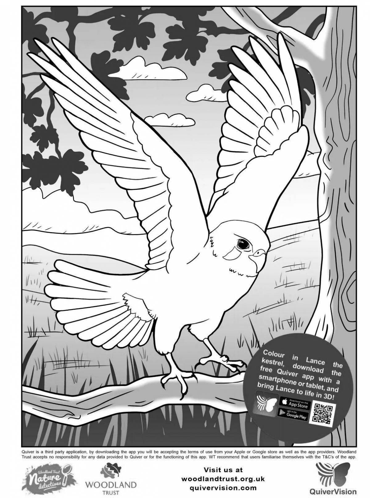 Coloring Pages Quivervision.com (19 pcs) - download or print for free ...