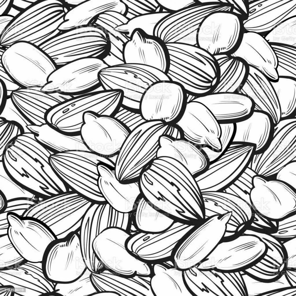Coloring pages seeds