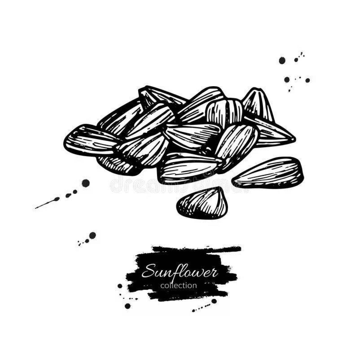 Photo Joyful coloring seeds