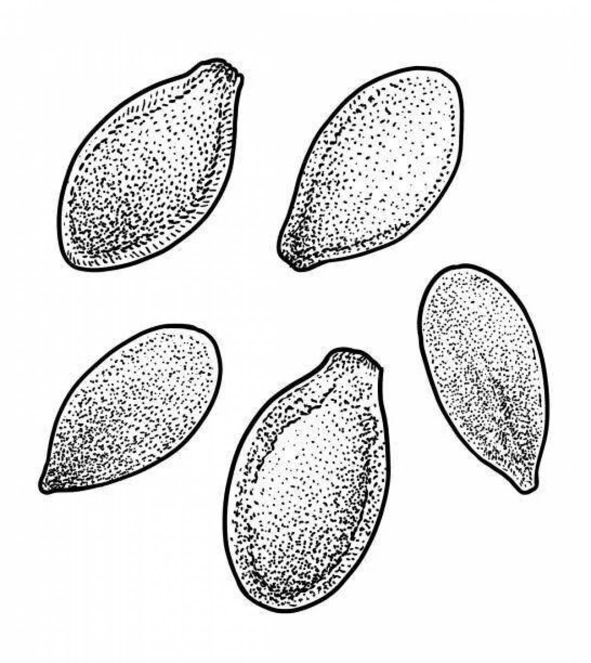 Seeds dazzling coloring pages