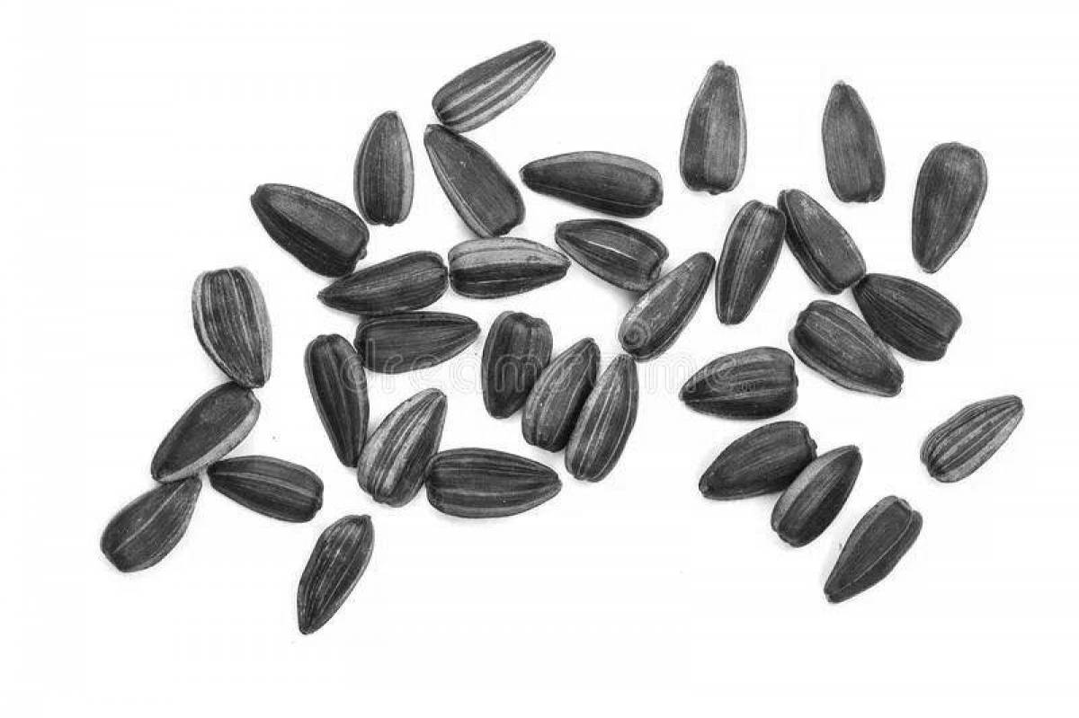 Photo Mysterious seeds coloring book