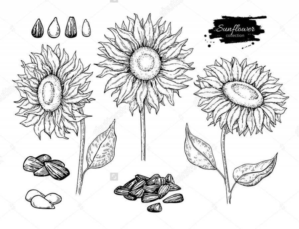 Mysterious seeds coloring page