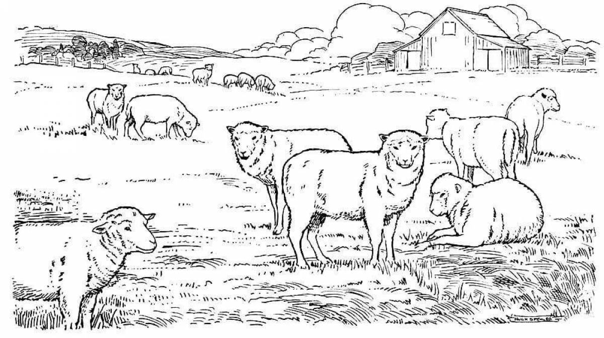 Intriguing livestock coloring book