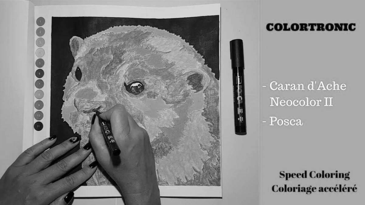 Art coloring colortronic