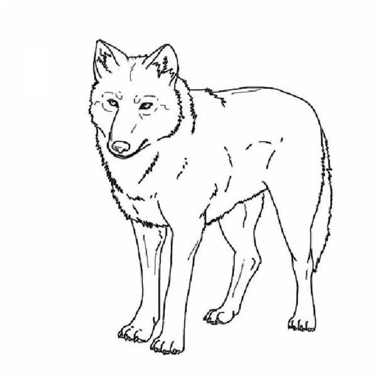 Ferocious wolf coloring page