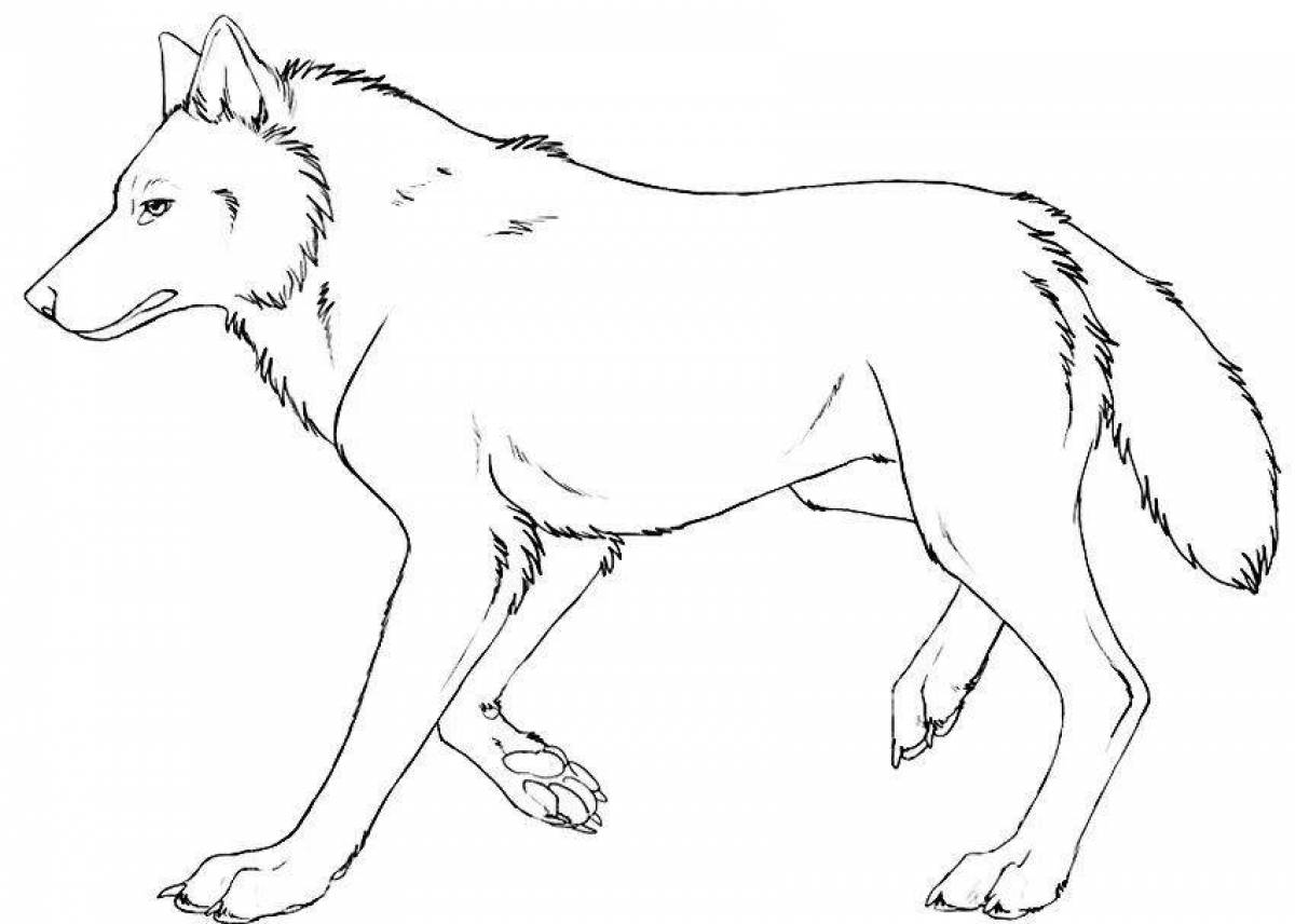 Royal wolf coloring page