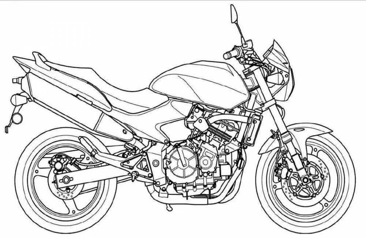 Moped live coloring page