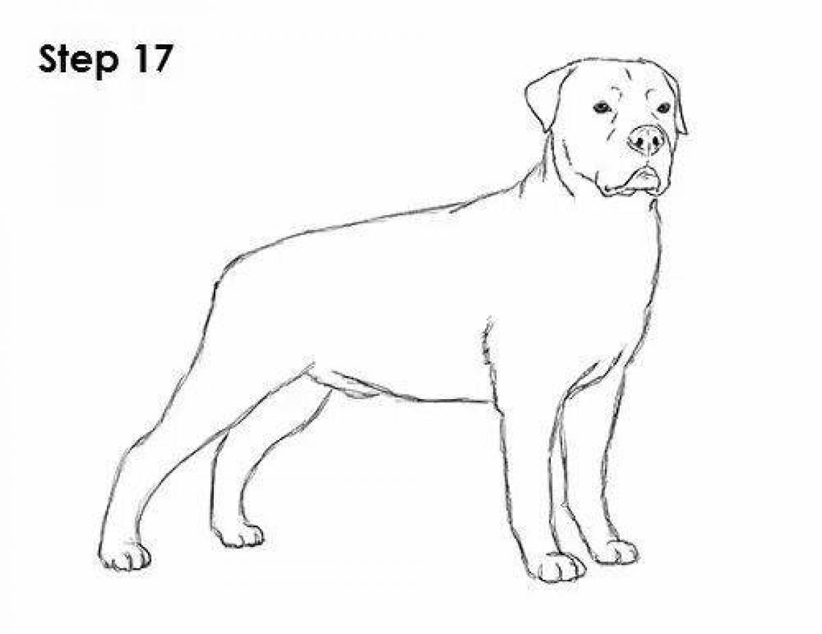 Coloring page ferocious rottweiler