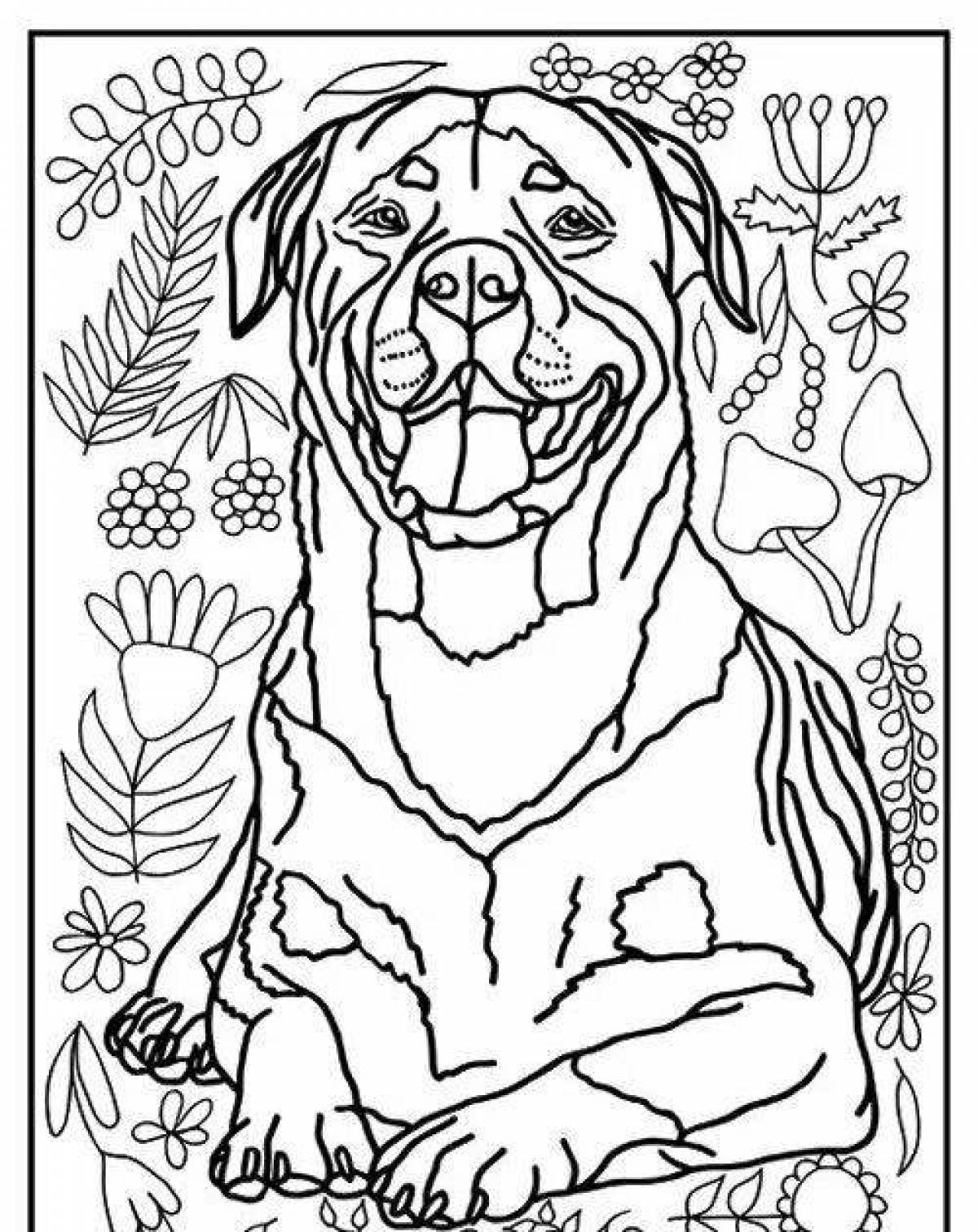 Cute coloring rottweiler