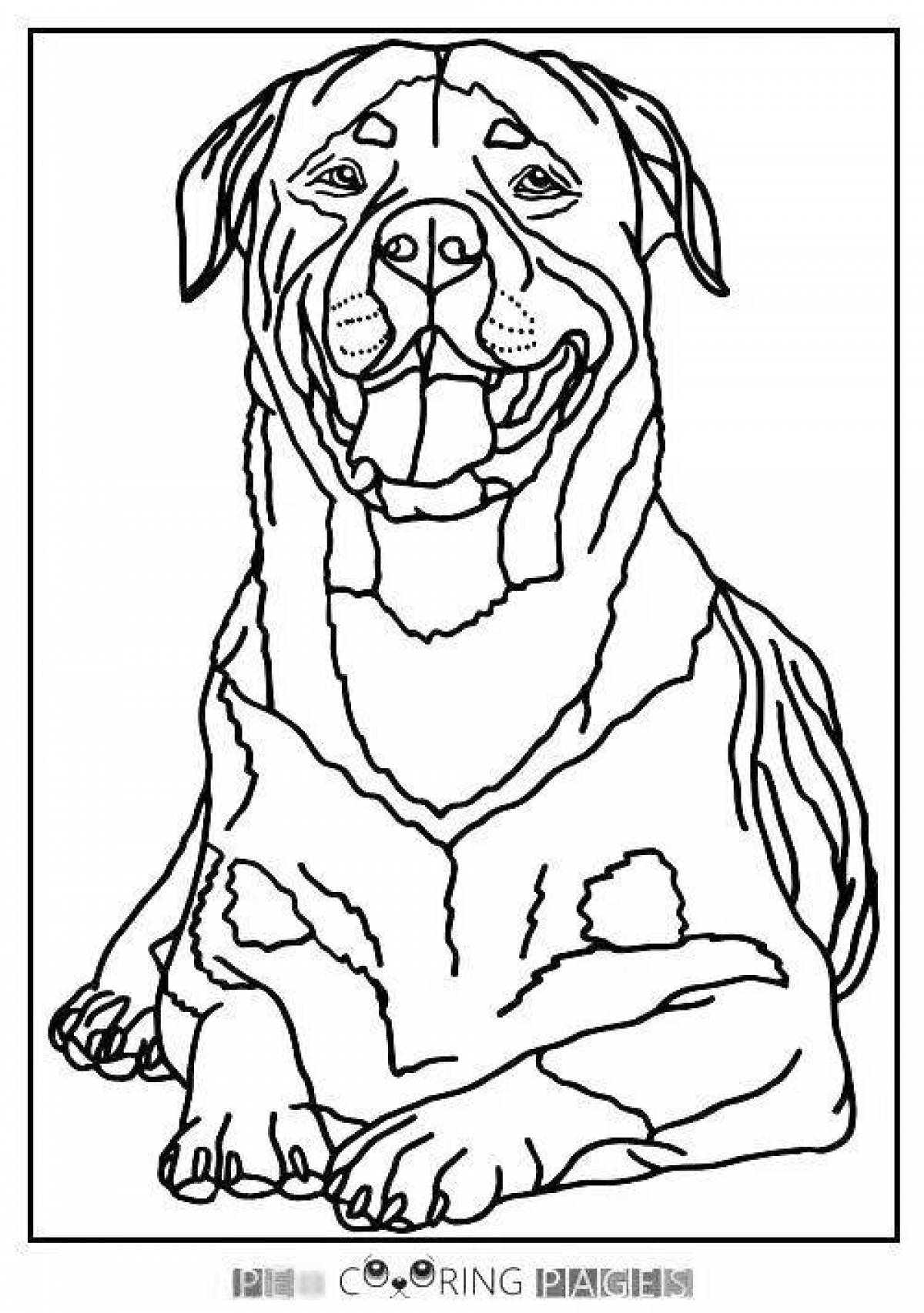 Coloring page disturbing rottweiler