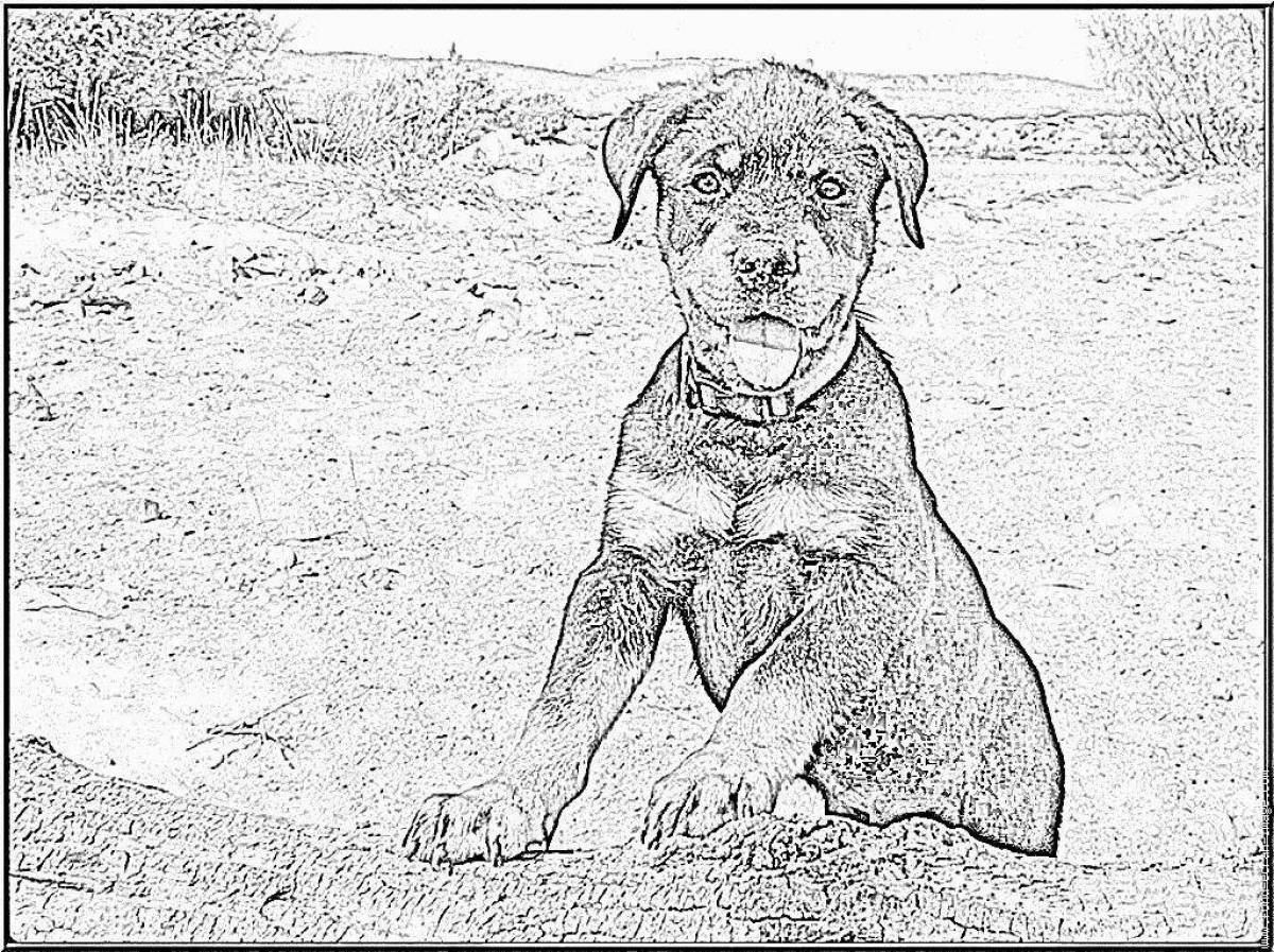 Loving Rottweiler coloring page