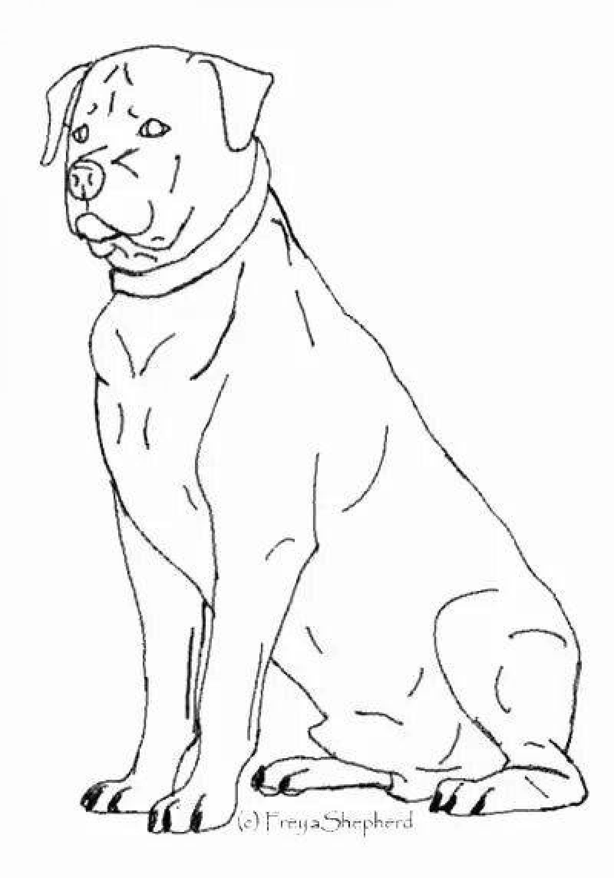 Naughty rottweiler coloring page