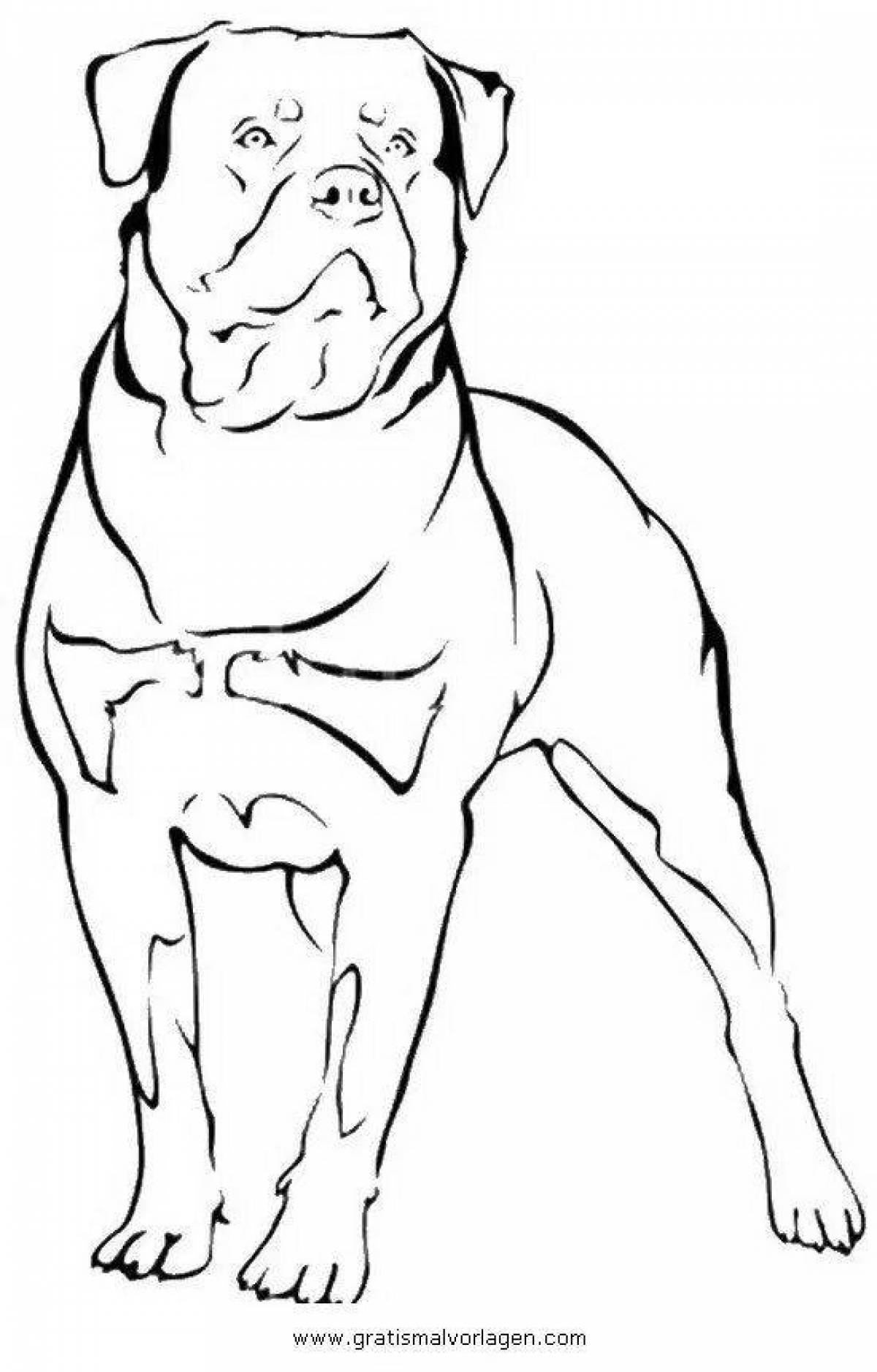 Coloring page inquisitive rottweiler