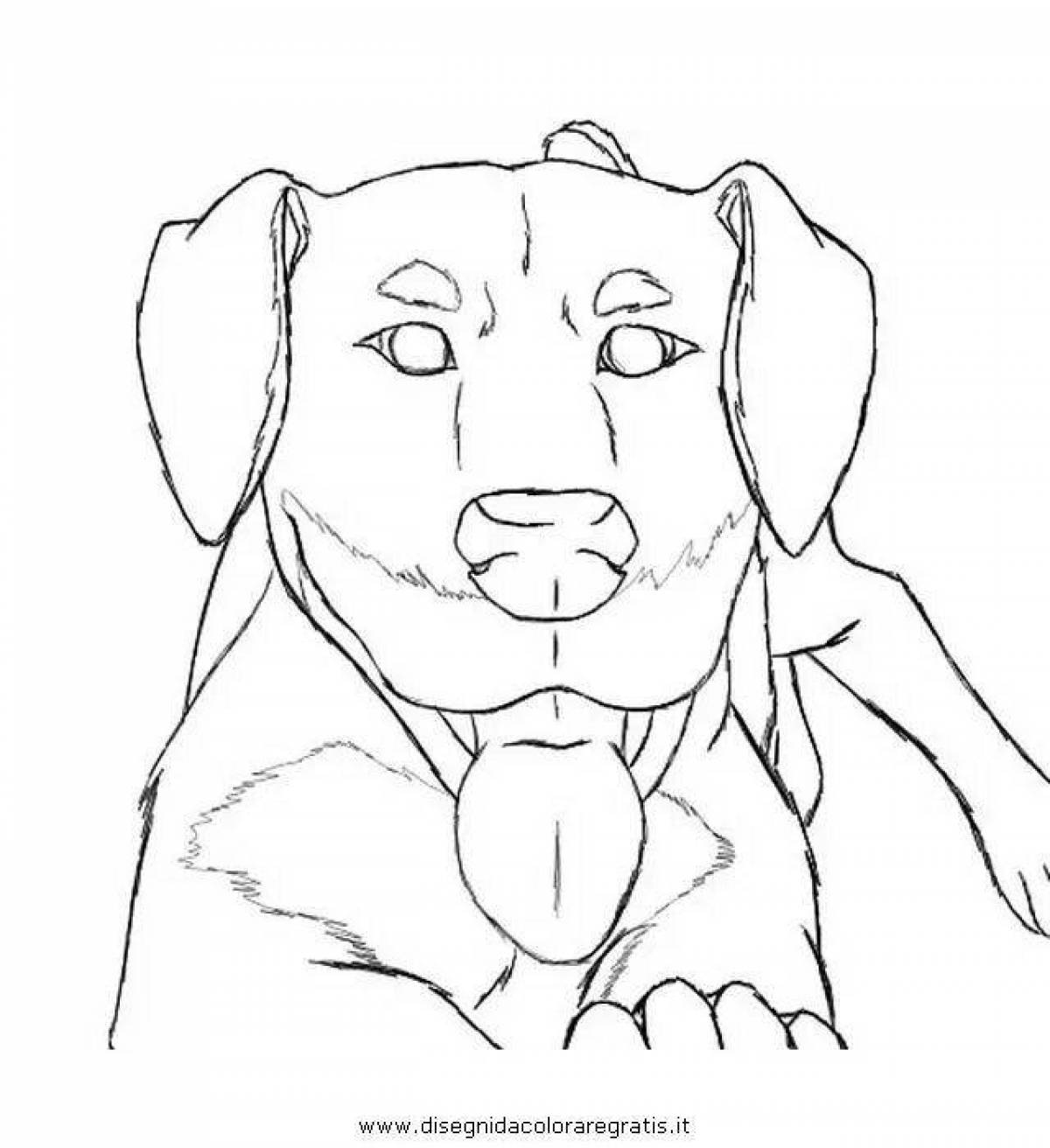 Coloring page affectionate rottweiler