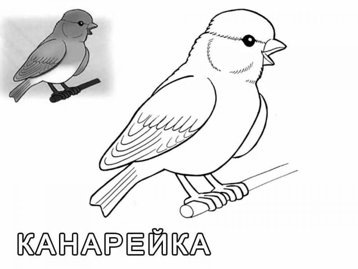 Colorful canary coloring page