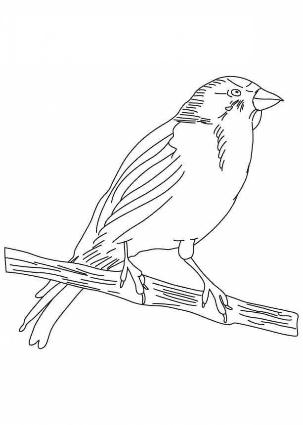 Bright canary coloring book