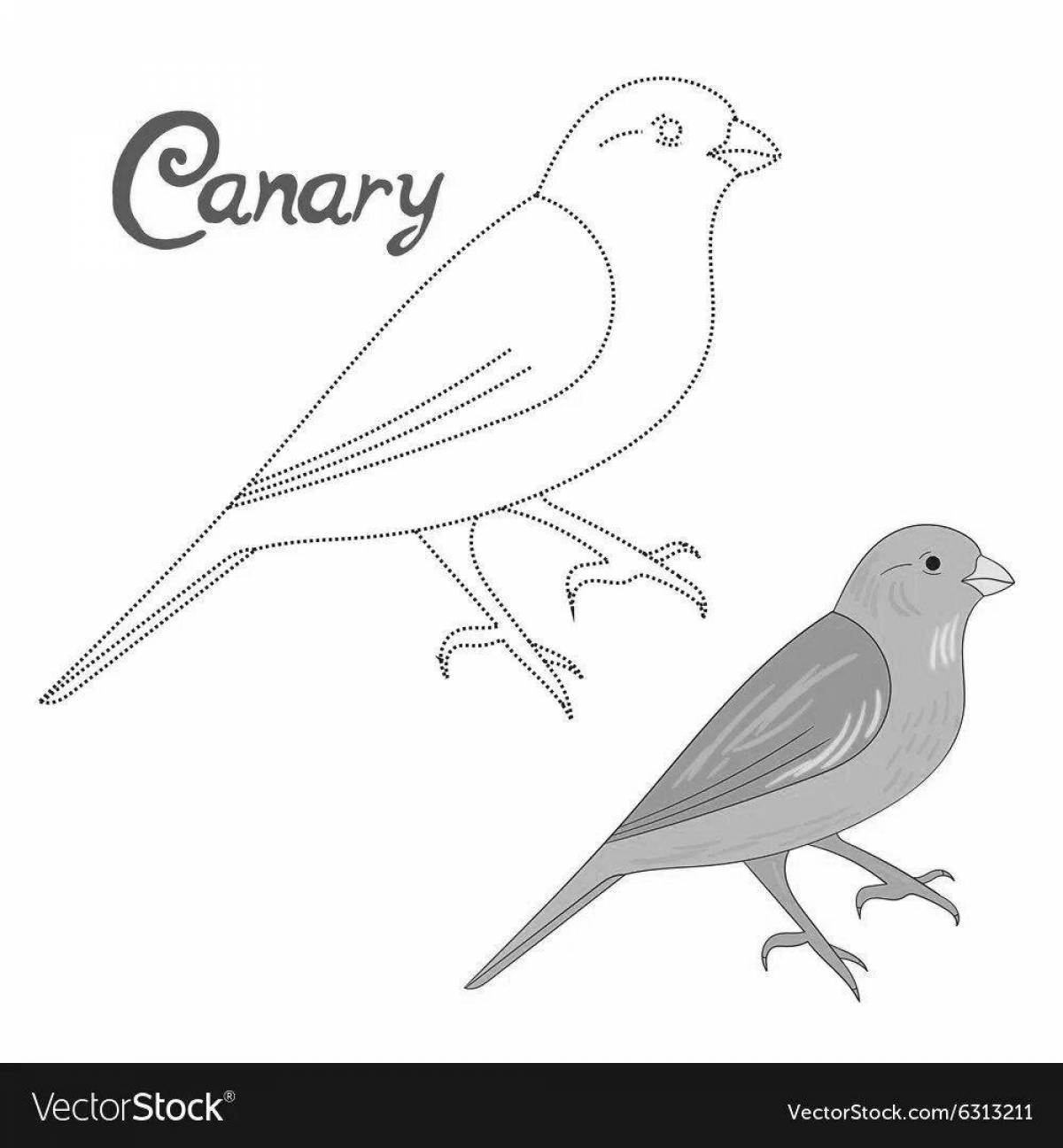 Glowing canary coloring page