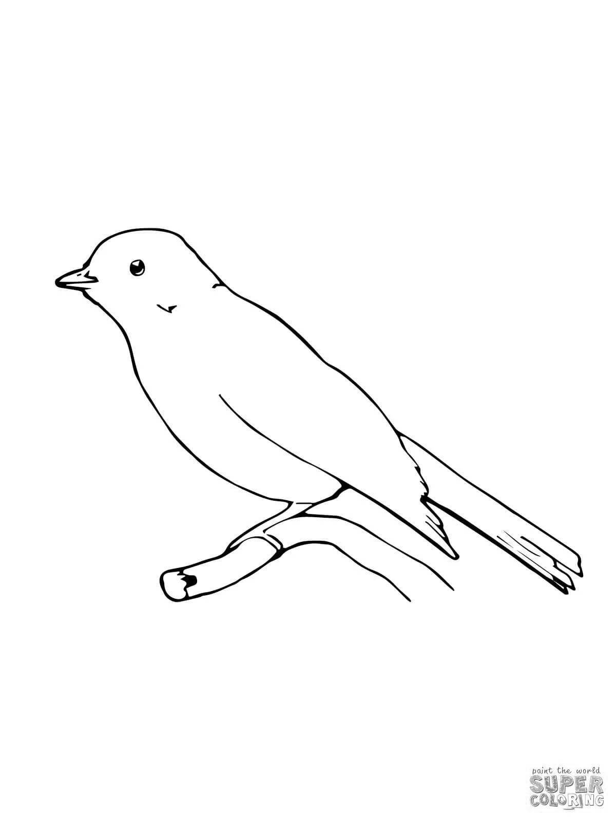Holiday canary coloring book