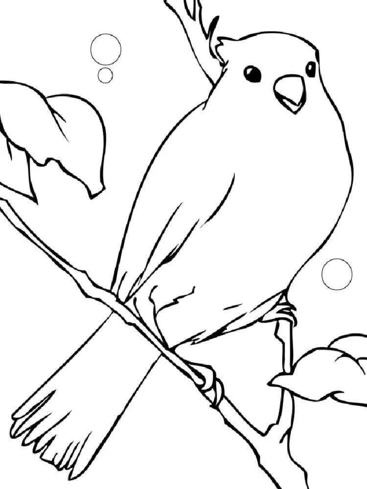 Color-explosion canary coloring book
