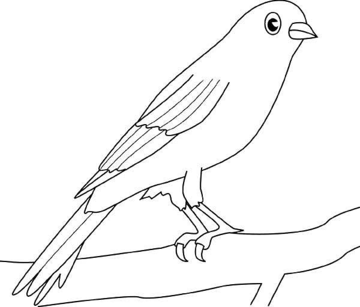 Colored canary coloring book
