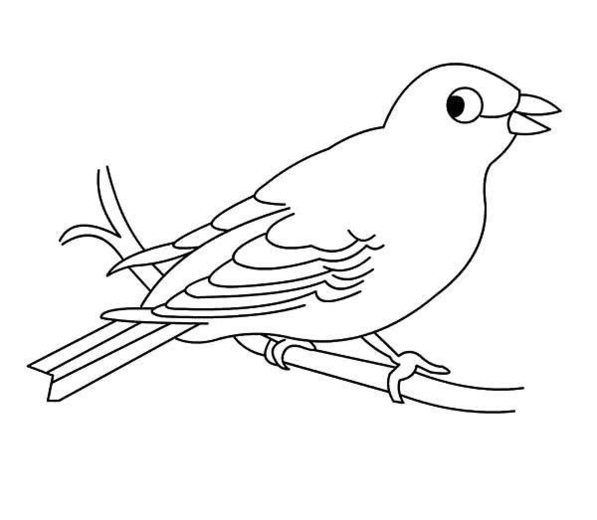 Crazy canary coloring book