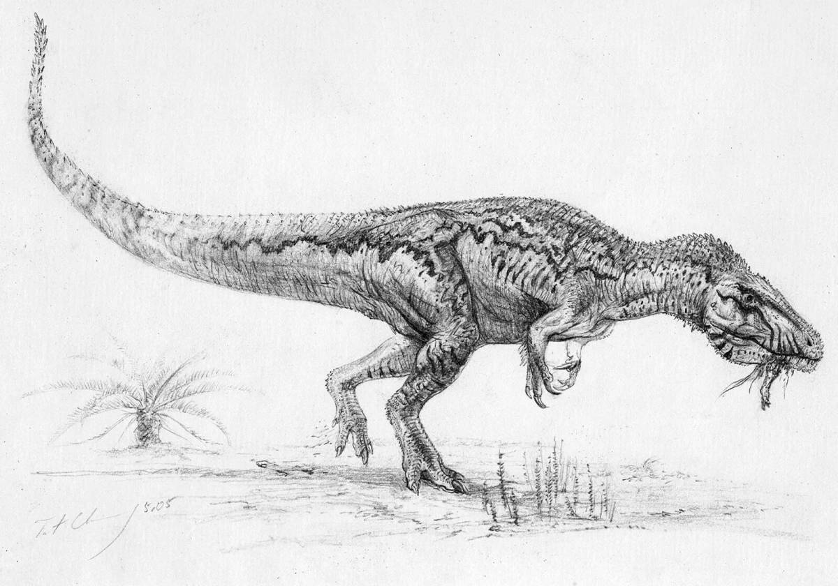 Чудесный кархародонтозавр раскраска