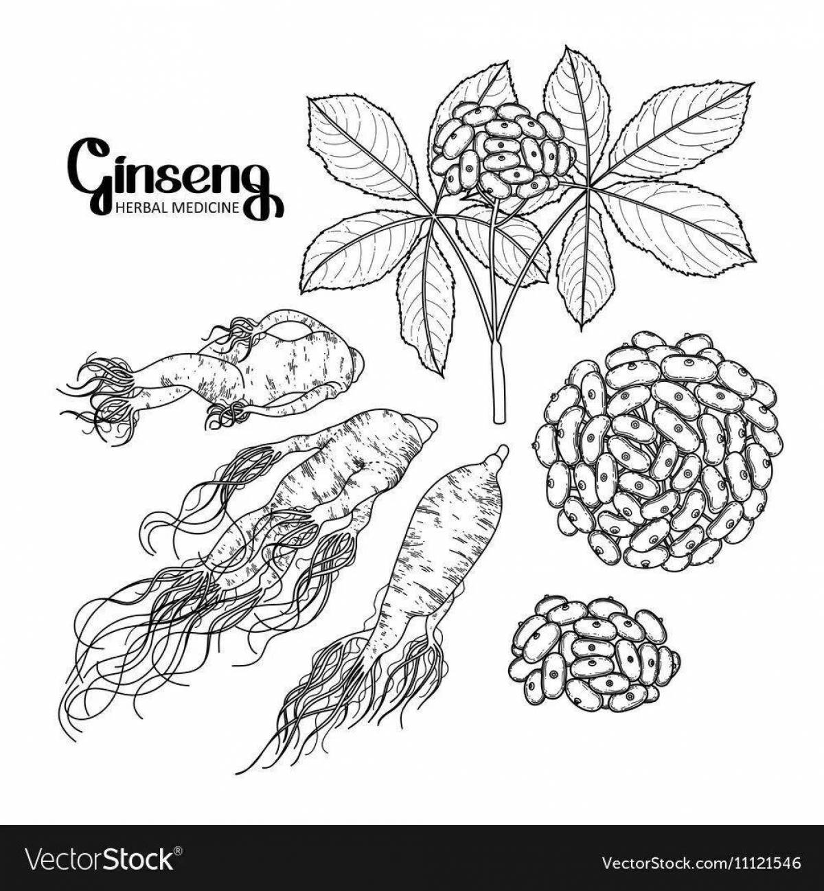 Coloring page with colorful ginseng