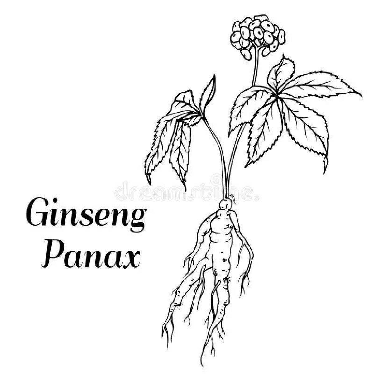 Coloring book with bright ginseng