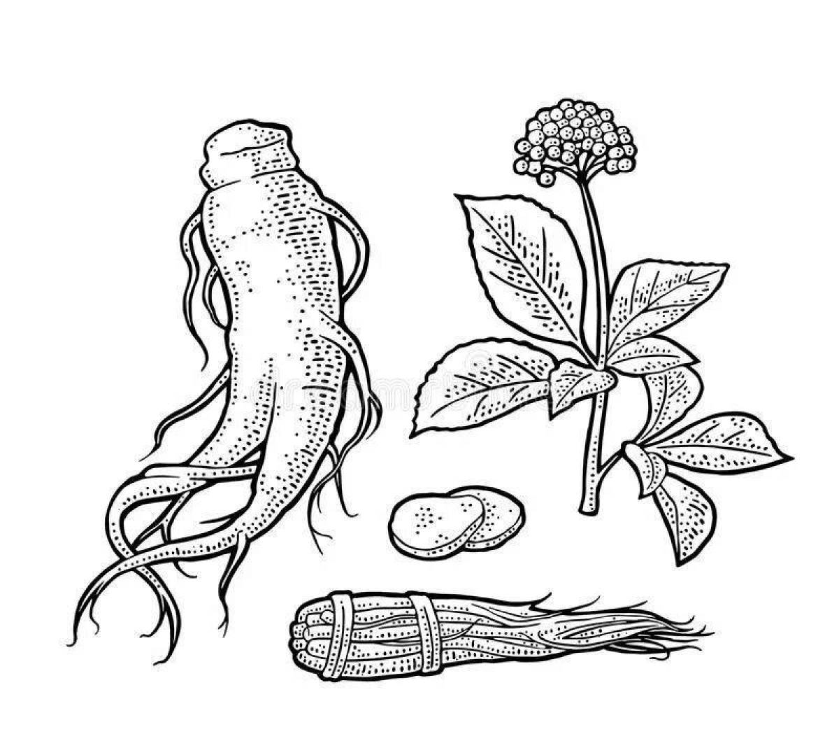 Adorable ginseng coloring page