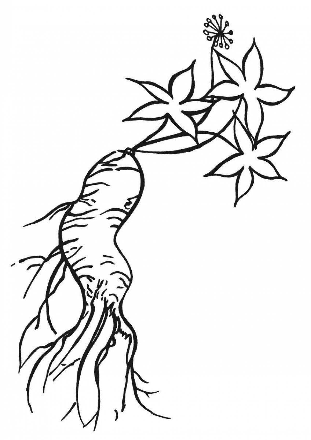 Attractive ginseng coloring page