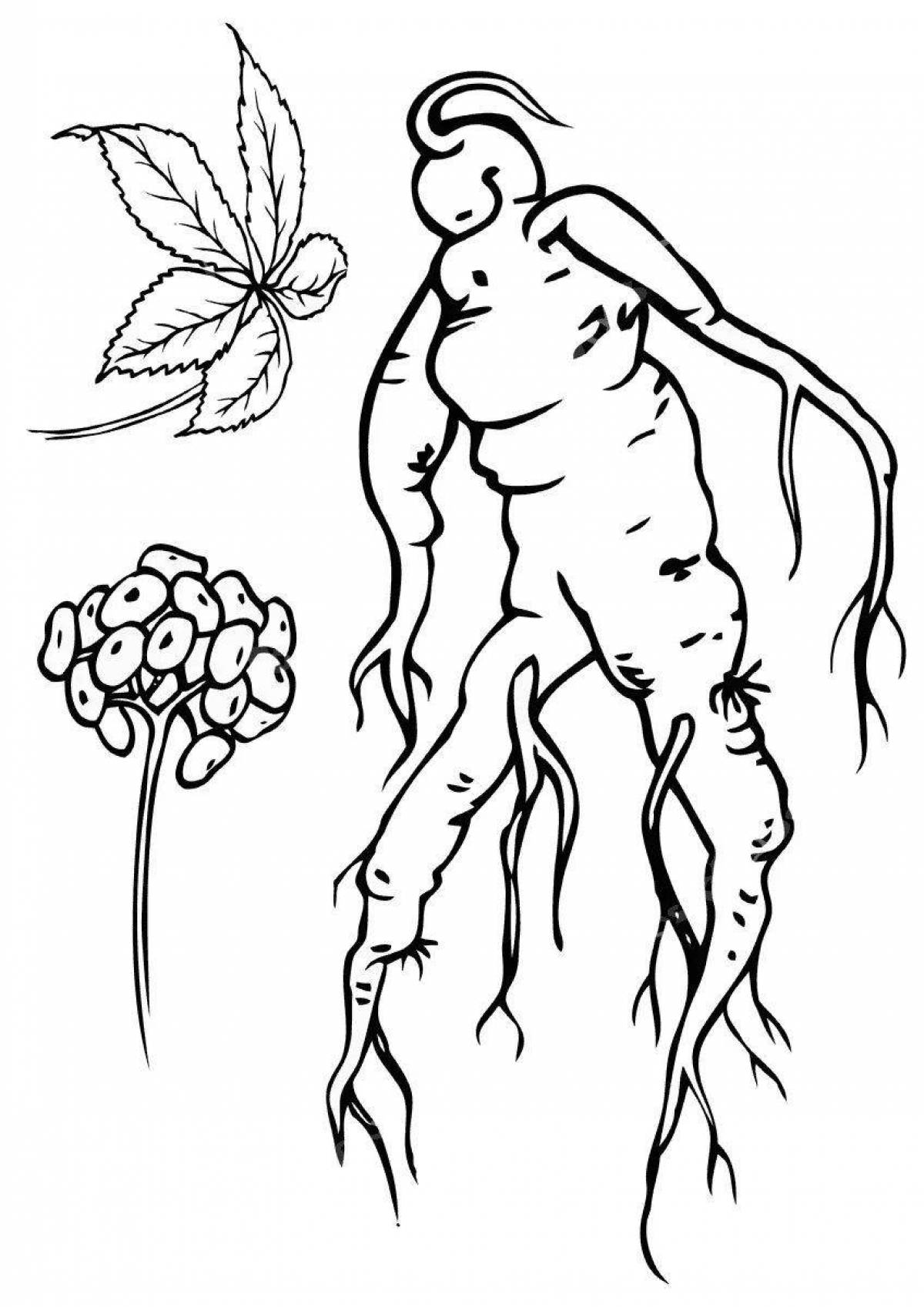 Charming ginseng coloring page