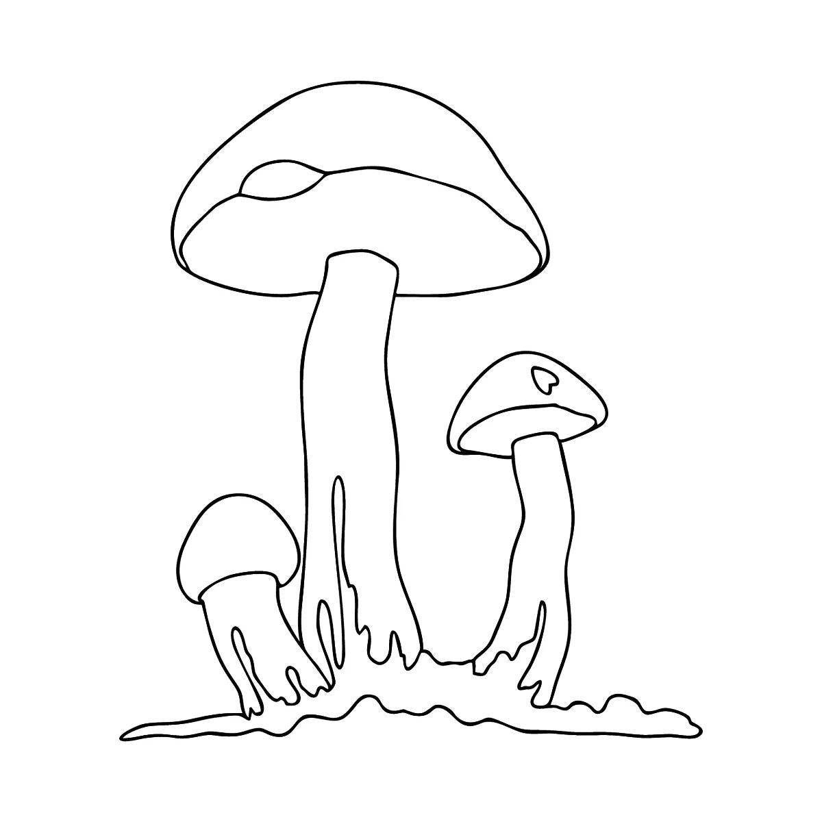 Live coloring of the boletus